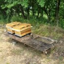 새벌농장 이미지