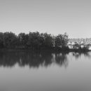 연민농장 이미지