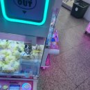 뽀꼬팡 이미지