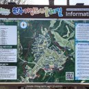 가곡천흙과돌 | 원주 둘레길 아이와 걷기 좋은 기업도시 굽이길 맞춤 코스 선택