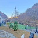 도그트리 | 메리도그하우스 양평애견펜션 n번째 방문 후기｜불멍·숯불·조식까지 완벽