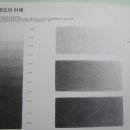 데생스케치 이미지