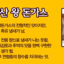 올리브마트 이미지