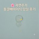 🌸 자연주기 동결배아이식 당일 후기 (5일배아 감자배아)