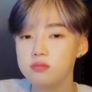 뉴마 Daum카페