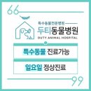 두티동물병원 이미지