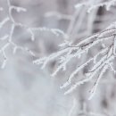 이유프로젝트 이미지