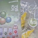 서현유통(애플) | 체하고 속 불편한 날의 구원템! 장 건강에 진심인 사람들을 위한 발효 건강음료 – 효밀 후기