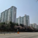 기흥로 이미지