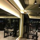 짐오브선셋 이미지