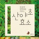 한백년 이미지