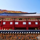 초록빛언덕글램핑 이미지