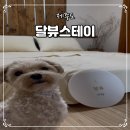 달뷰스테이 이미지