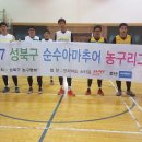 2017 성북구 순수아마추어 농구대회 2차 결선 최종 경기 결과 이미지