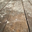 첫번째집 이미지