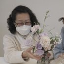보로하 이미지
