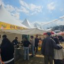 이천백사산수유 | [이천 아이랑 가볼만한곳] 28개월 아기도 걷기 좋은 이천백사산수유꽃축제! 꿀팁 및 주차장 리얼 후기