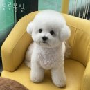 두루몽실 이미지