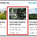 제주 안덕계곡 상록수림 이미지