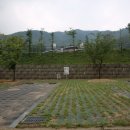수레의산자연휴양림 이미지