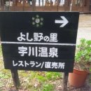 산인-4 Daum카페