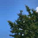 이타 (ee-ta) 이미지