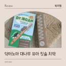 아기첫 칫솔 치약 닥터노아 어린이 대나무칫솔 사용 후기
