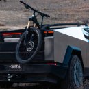 영사이버 이미지