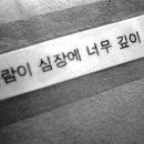 ZIA Daum카페