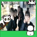 눈꽃피부과의원 | 롯데월드 재입사 캐스트 일상 | 두 번째 퇴사 | 중계의원 오픈런 | 연말정산 | SM CLASSICS LIVE 2025