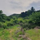 조은터부동산중개사무소 이미지