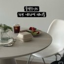 플랫포인트 식탁 하브 세라믹 테이블 내돈내산 장단점 후기