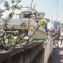 와우산배수지 이미지