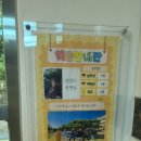 봉래초등학교병설유치원 이미지