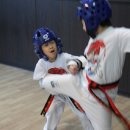 용인대 태권얍 이미지