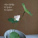라르고(Largo)