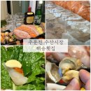 주문진 수산시장 해송수산 주문진회포장 추천 맛도리 후기