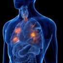 온가정의원 이미지