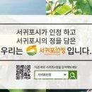 제주 보고정 투어 이미지