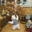 선녀와나무꾼 이미지