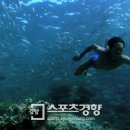 휴먼플래닛 이미지