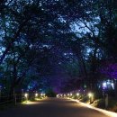 승학산 배드민턴장 이미지