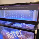 하누식당 이미지