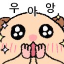 파트너아이디 이미지