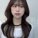 천연염색헤어샵오땡큐 | 머리 망치면 멘탈 붕괴 국룰 아니겠어요? 야도헤어 나들이 후기!