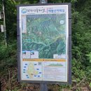 치악산둘레길 6코스 매봉산자락길 | 치악산둘레길 6코스 매봉산자락길