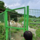 오르목장 이미지