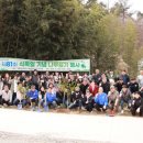 동백A(1차) 이미지