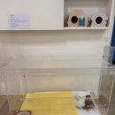 달빛 햄스터리 서울점 이미지