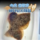4284 | 초보자도 가능한 속초바다낚시 체험, 속초 윤창호 바다낚시 후기